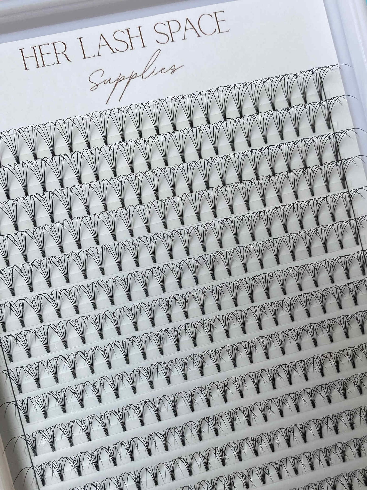 5D .10 Pre Made Lash Tray