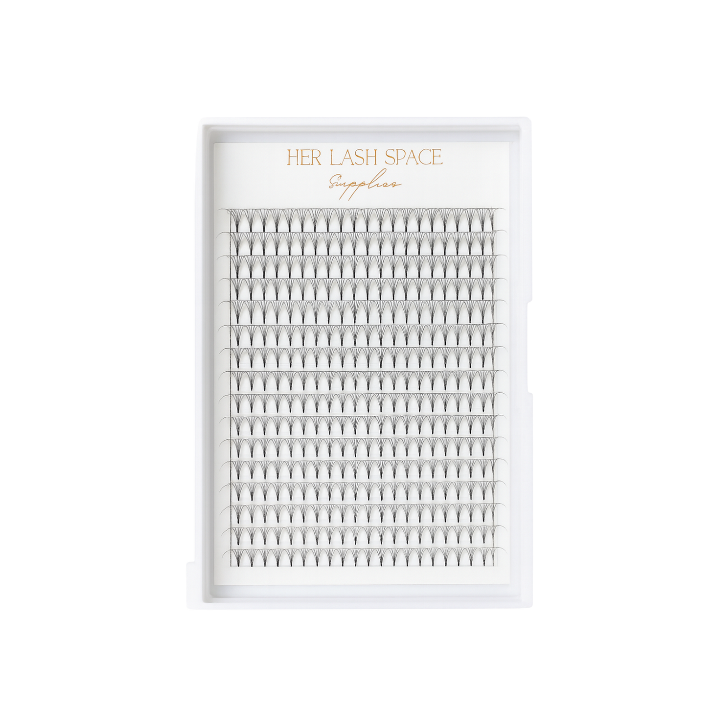 5D .10 Pre Made Lash Tray